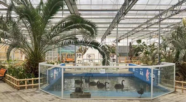 森森尼卡萌宠森林