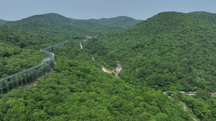 琅琊山森林漂流第 6 张图片