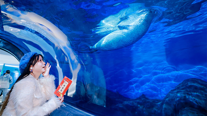 上海海洋水族馆第 56 张图片
