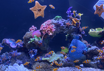 襄阳海洋世界第 21 张图片