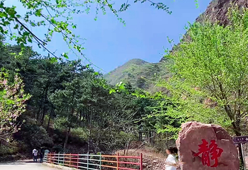 挂云山景区第 18 张图片