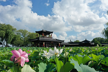 三国水浒景区(中央电视台无锡影视基地)第 22 张图片