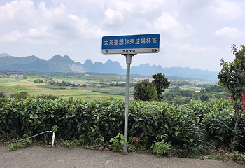 茶趣园第 39 张图片
