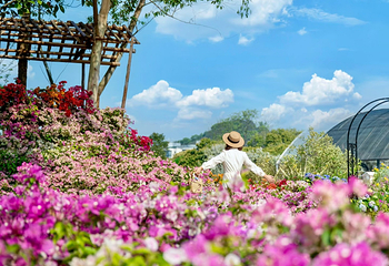 香遇百花园第 12 张图片