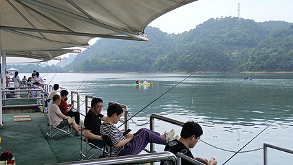 千岛湖钓鱼岛第 26 张图片