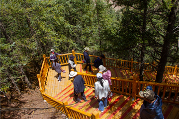 祁连天桥山风景区第 27 张图片