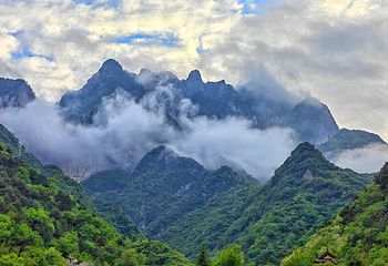 秦岭天竺山生态文化旅游景区第 26 张图片
