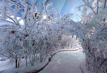 北山四季越野滑雪场第 5 张图片
