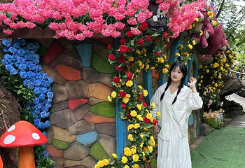 九龙井第 13 张图片