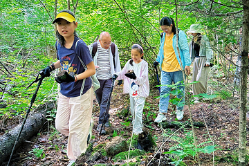 长白山山野间露营地第 12 张图片