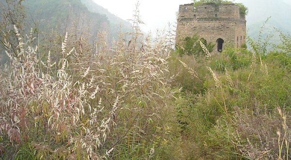 东极仙谷自然风景区