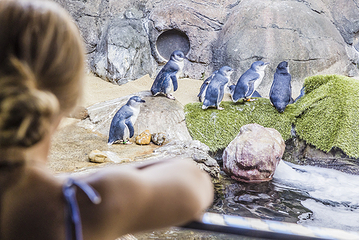 阳光海岸水族馆第 26 张图片