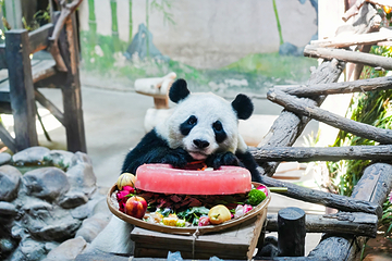 光合谷旅游度假区第 35 张图片