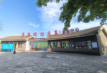 千岛湖钓鱼岛第 19 张图片