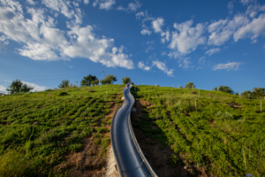 岩石农场ROCK FARM