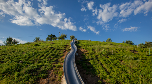 岩石农场ROCK FARM