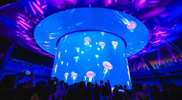 小梅沙海洋世界-青蓝洞