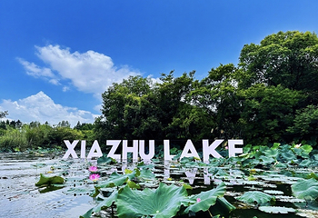 下渚湖·湿地公园第 26 张图片