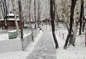 亚布力林海雪原人家第 37 张图片