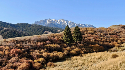 南山牧场西白杨沟景区第 19 张图片