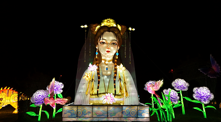 问花村第 41 张图片
