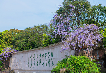 灵山胜境第 139 张图片