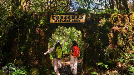 思佳多木毛球花谷第 3 张图片
