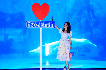 海合安天津极地海洋公园第 81 张图片