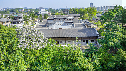 七鲤古镇度假区第 19 张图片