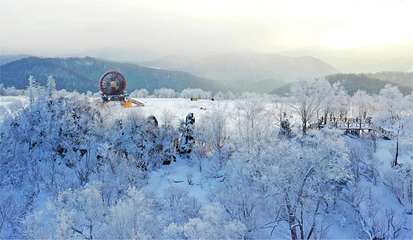 雪乡狗熊岭景区第 25 张图片