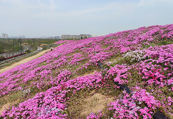 秦汉田野第 9 张图片