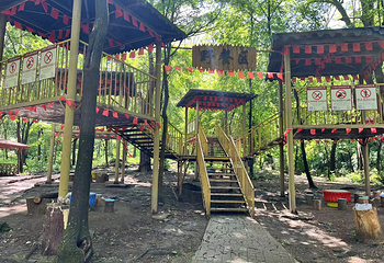 香炉山国家森林公园第 65 张图片