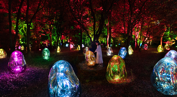 大阪长居植物园teamLab