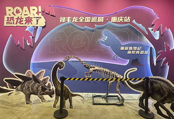 恐龙来了(禄丰龙全国巡展·重庆站)第 11 张图片