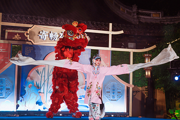 惠山古镇·寄畅园第 92 张图片