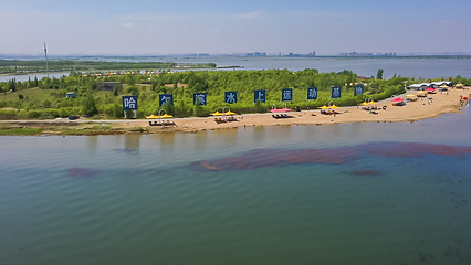 呼兰河口湿地公园第 46 张图片
