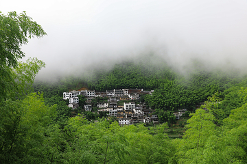 木坑竹海第 24 张图片