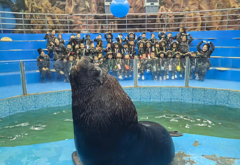 临汾海昌海洋探索馆第 19 张图片