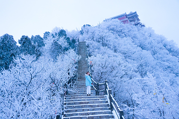 云台山风景名胜区第 89 张图片