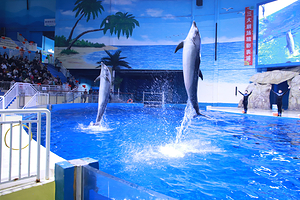 寿光极地海洋世界