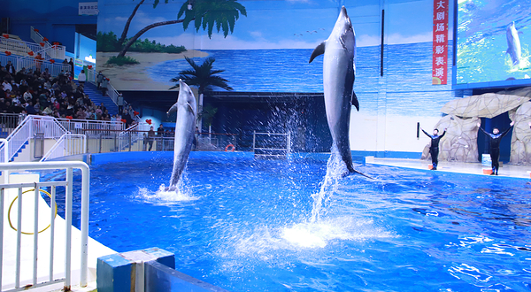 寿光极地海洋世界