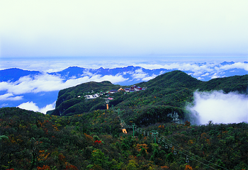 天门山国家森林公园第 130 张图片