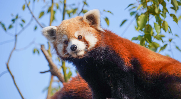 杭州野生动物世界
