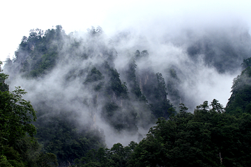 光雾山旅游景区第 97 张图片