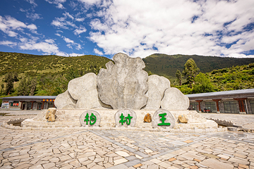 世界柏树王园林第 3 张图片