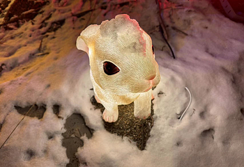 长白山戏雪冰钓第 10 张图片