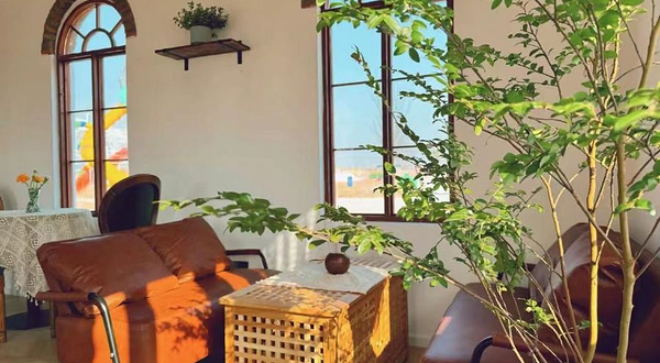 阳光阿狸开心农场