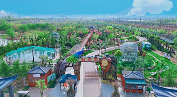 天鹅湖伊河动物园