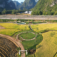 明仕那里·好年好稻
