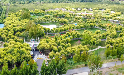 鑫诚田园生态旅游区第 3 张图片